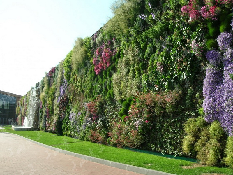 植物墙|室内外制作价格及效果图设计注意